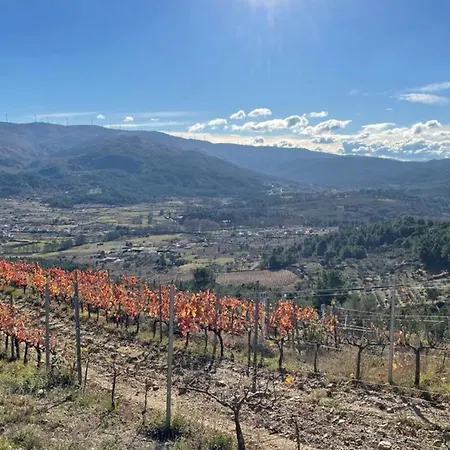 Quinta Da Penada - Vineyard & Winery - 2 Chaves