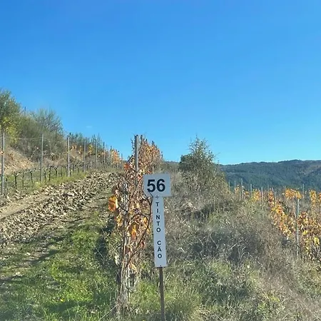 Quinta Da Penada - Vineyard & Winery - 2 Holiday home