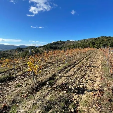 Prázdninový dům Quinta Da Penada - Vineyard & Winery - 2 *